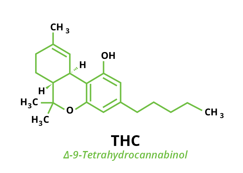 Molecular chemical structure of cannabinoid THC Tetrahydrocannabinol